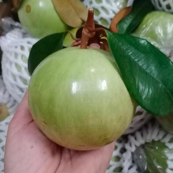 (HỘ KINH DOANH) PHẠM THỊ TRONG
